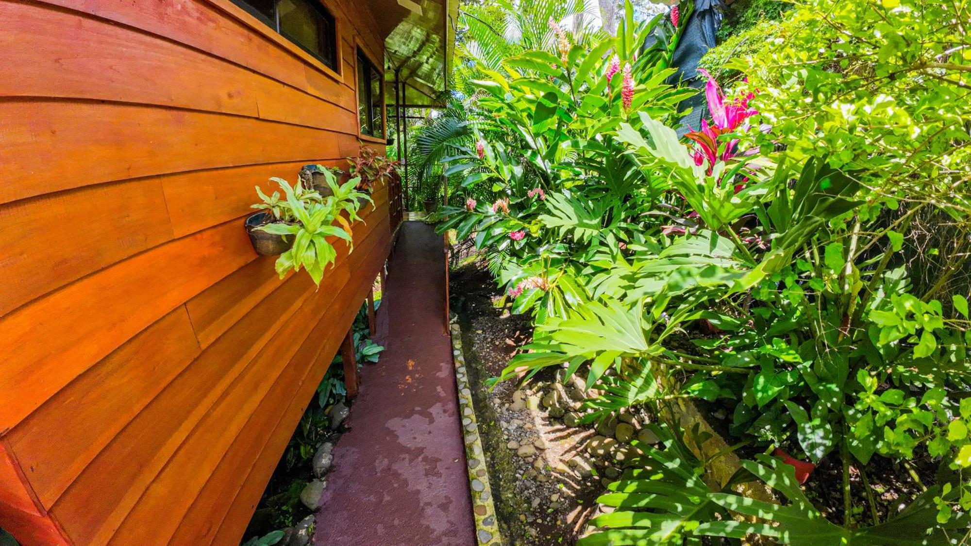 Bungalows Las Iguanas Arenal Volcano La Fortuna Zewnętrze zdjęcie