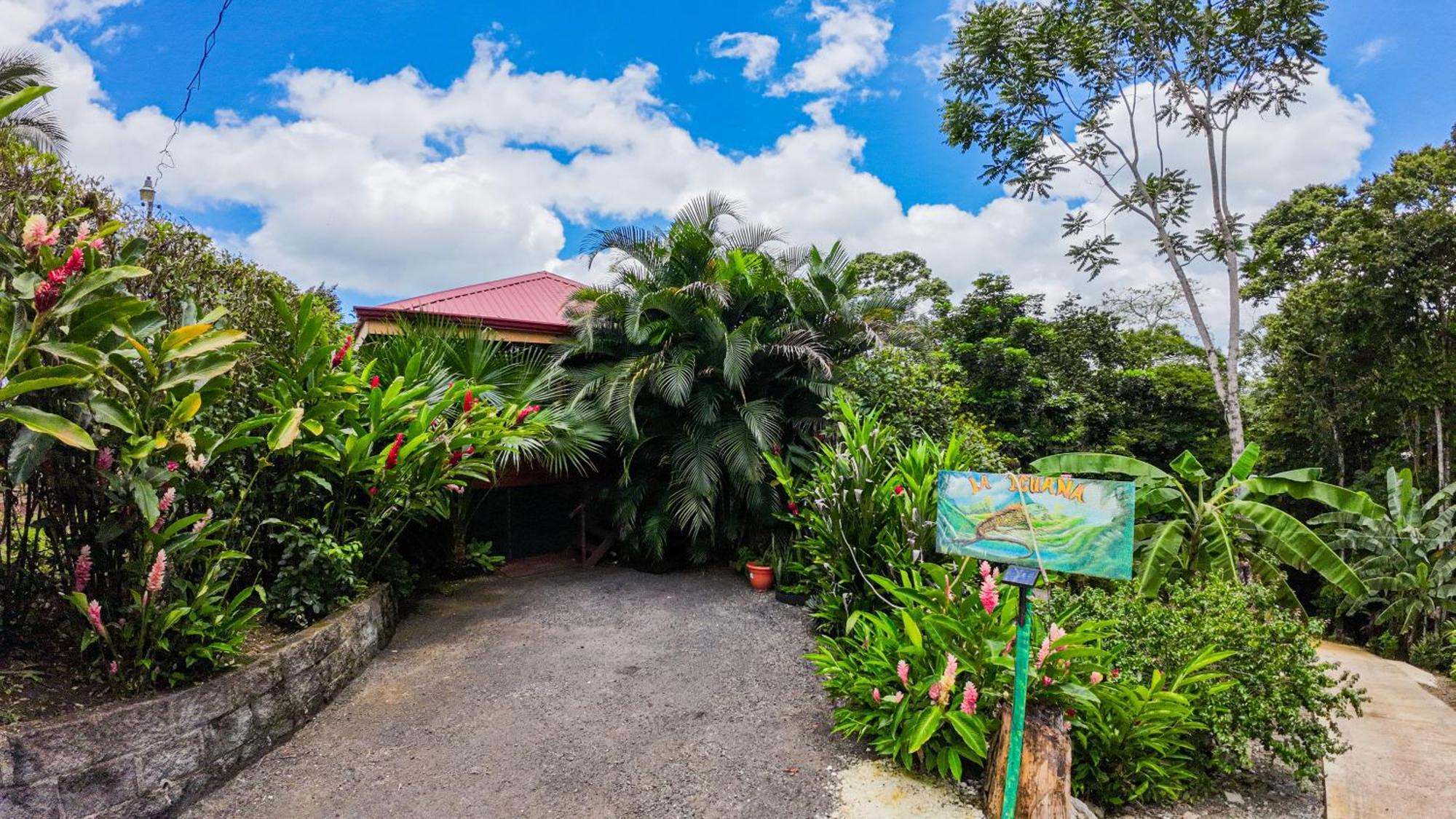 Bungalows Las Iguanas Arenal Volcano La Fortuna Zewnętrze zdjęcie
