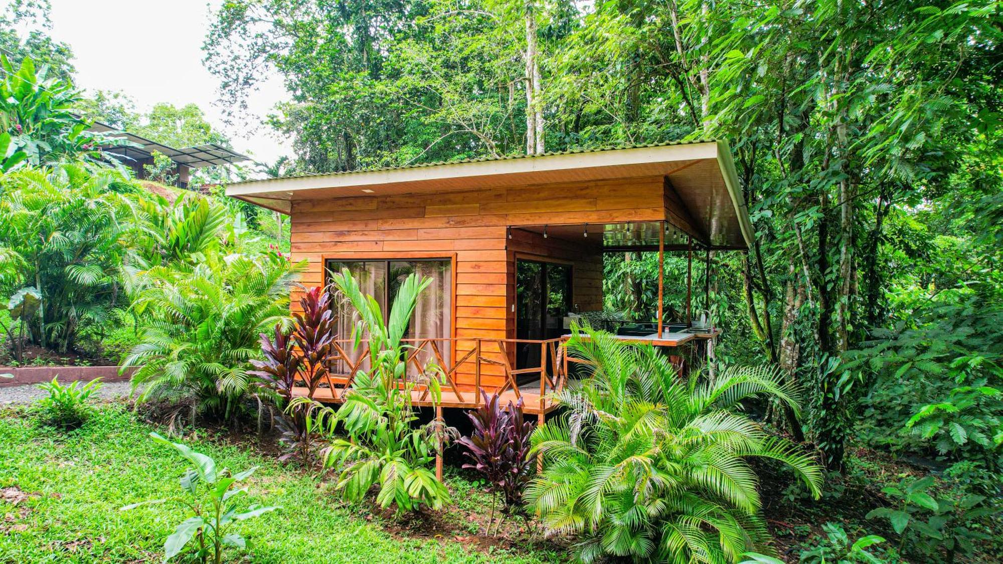 Bungalows Las Iguanas Arenal Volcano La Fortuna Zewnętrze zdjęcie